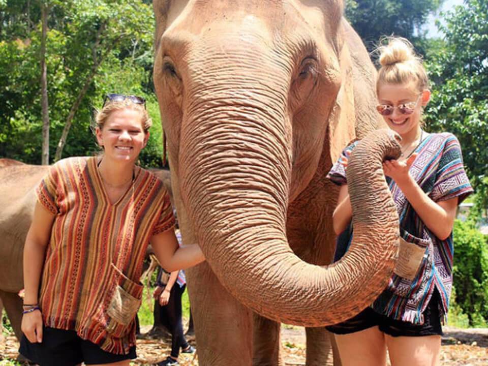 Lunch With Elephant Safari