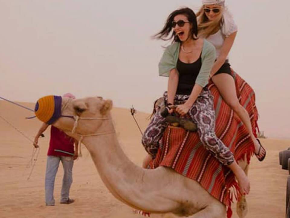 Camel Ride Package Resort Jaipur